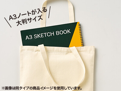 ライトキャンバスフラットバッグLL カラー