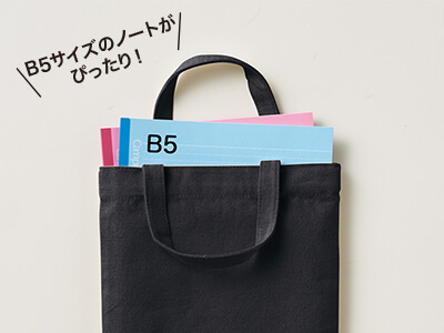 ライトキャンバスフラットバッグS カラー